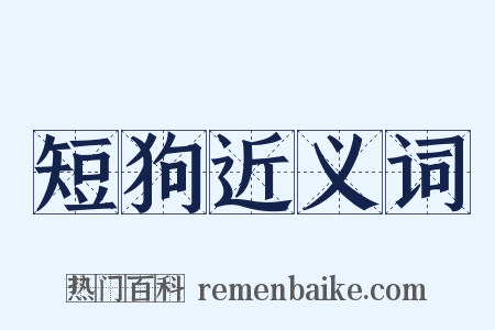 短狗近义词是什么意思的图片
